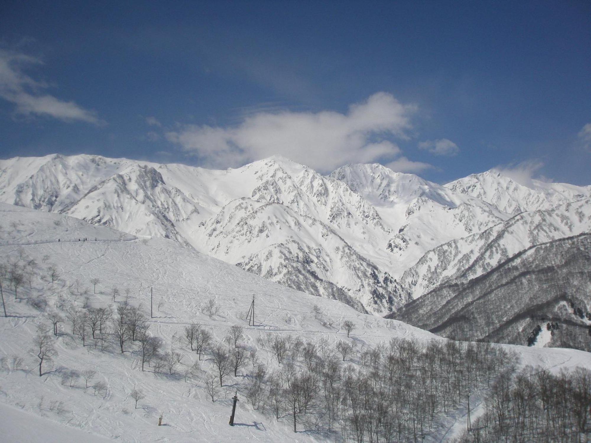 Alpine Wind Bed & Breakfast Hakuba Ngoại thất bức ảnh